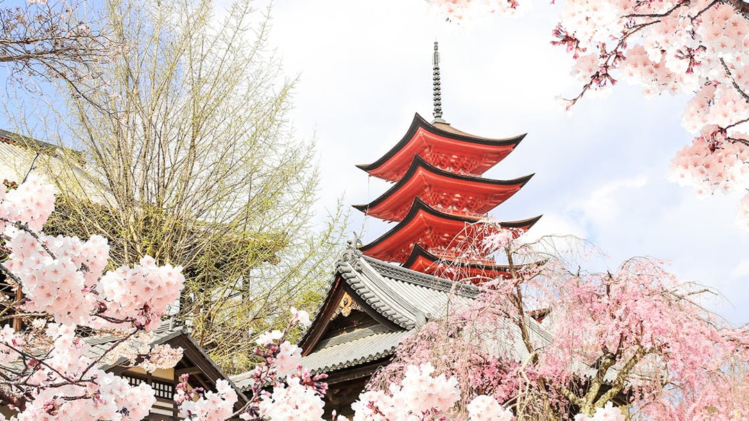 from hiroshima: hiroshima & miyajima small group tour with professional photos-8