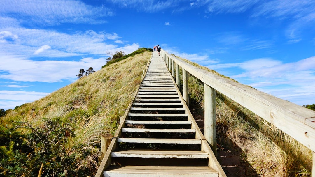 Group ascending wooden stairs on Bruny Island's scenic coastline.