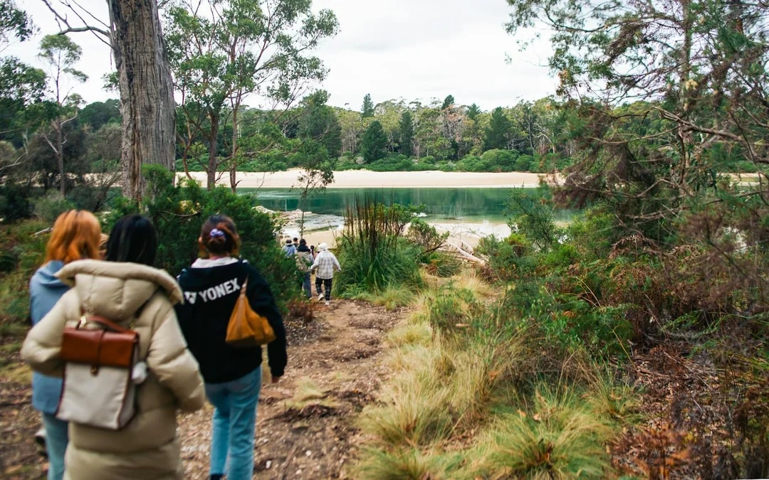 From Hobart: Bruny Island Full-Day Guided Tour Image 6