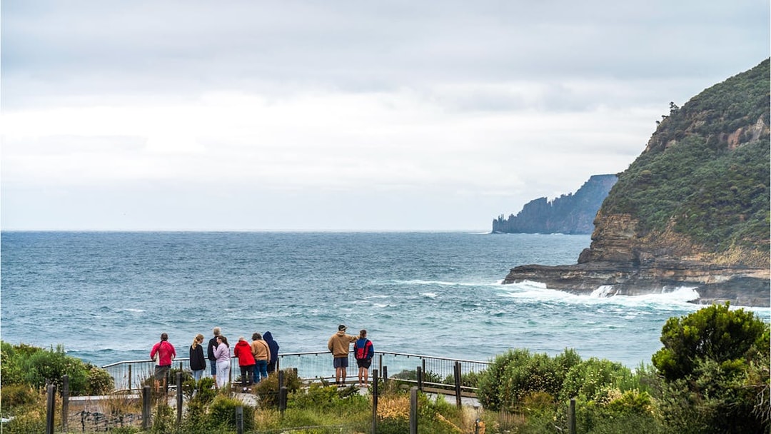 Visitors observing the coastline on Bruny Island during a full-day guided tour from Hobart.