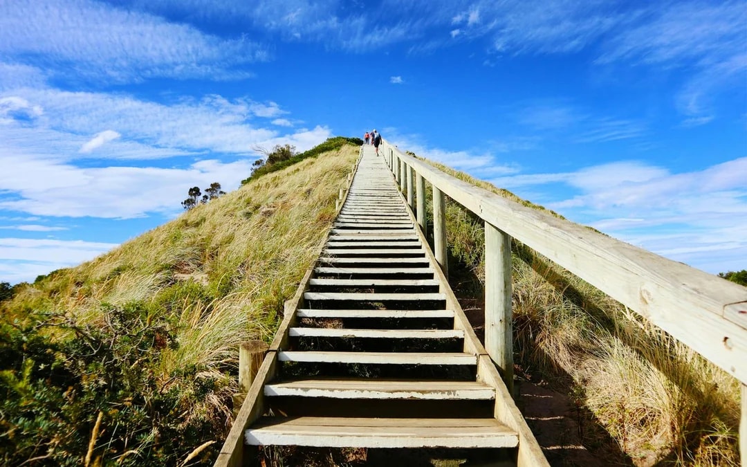 From Hobart: Bruny Island Full-Day Guided Tour Image 7