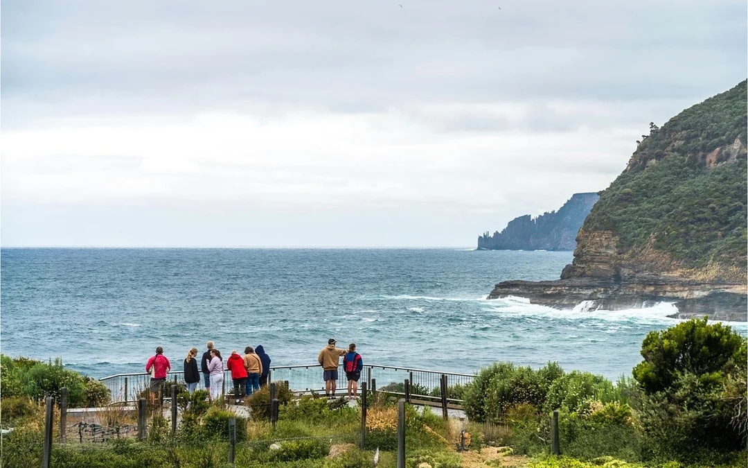 From Hobart: Bruny Island Full-Day Guided Tour Image 8