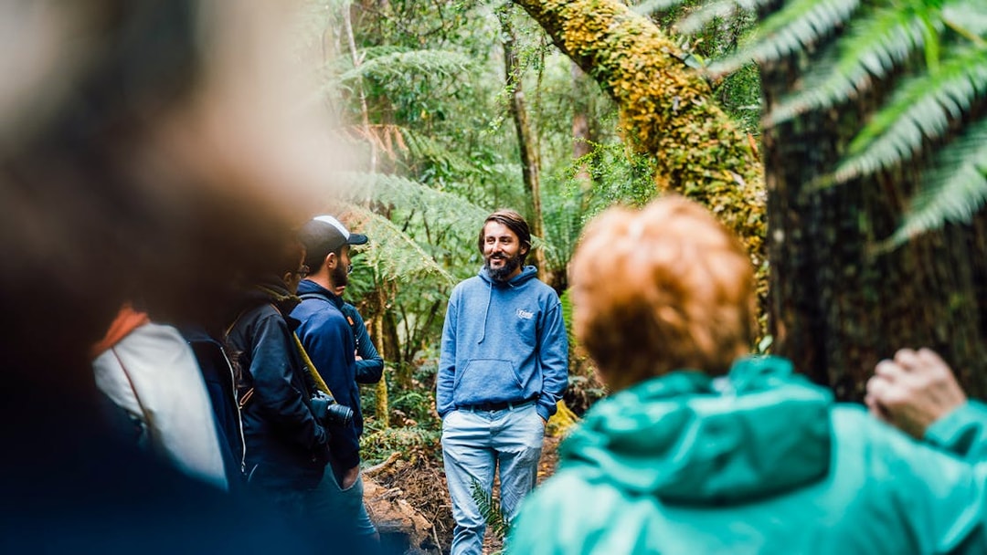 Tour guide leading a group through Bruny Island's lush forest.