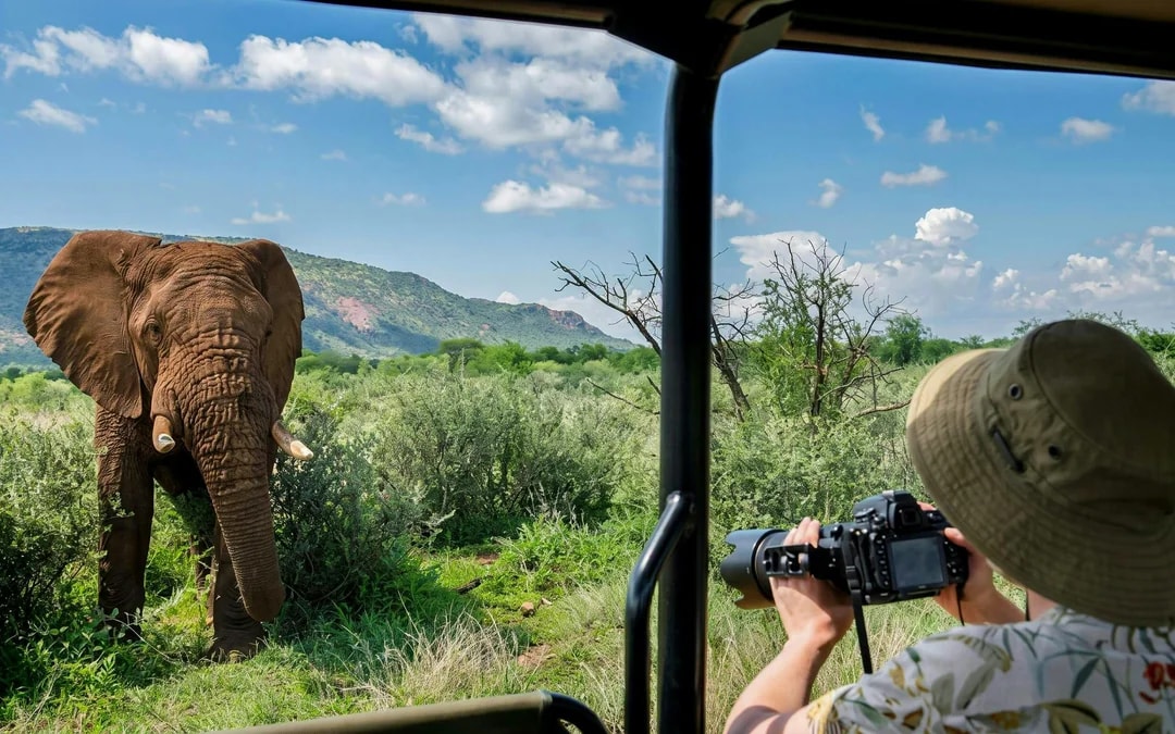 From Hoedspruit: Half-Day Big Five Safari Experience at Blue Canyon Private Game Reserve Image 8