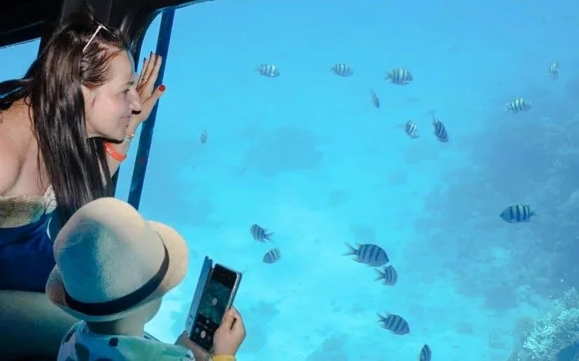 From Hurghada: Royal Seascope Submarine Cruise with Snorkeling & Optional Hotel Transfers Image 9