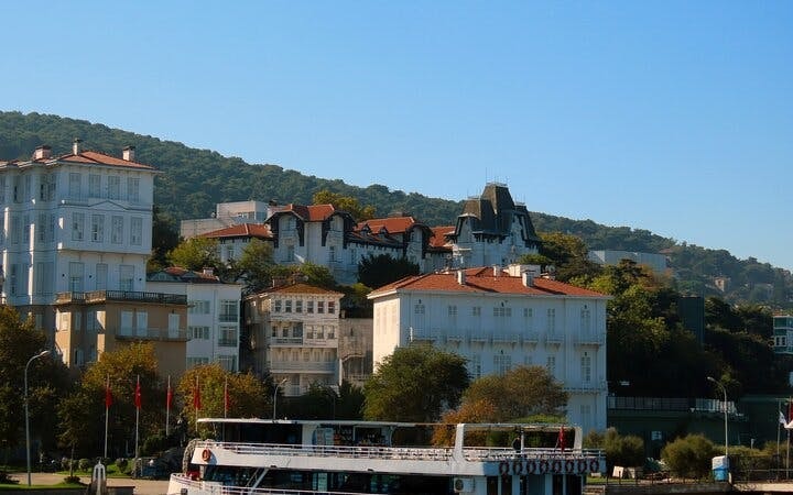 From Istanbul: Princes' Islands Sightseeing Cruise with Lunch Image 9