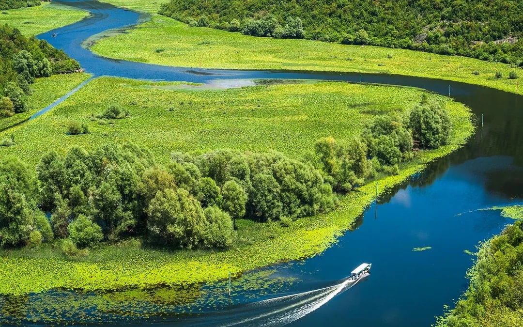 From Kotor/Budva/Tivat/Herceg Novi: Lake Skadar & Biograd Day Trip with Boat Ride Image 1