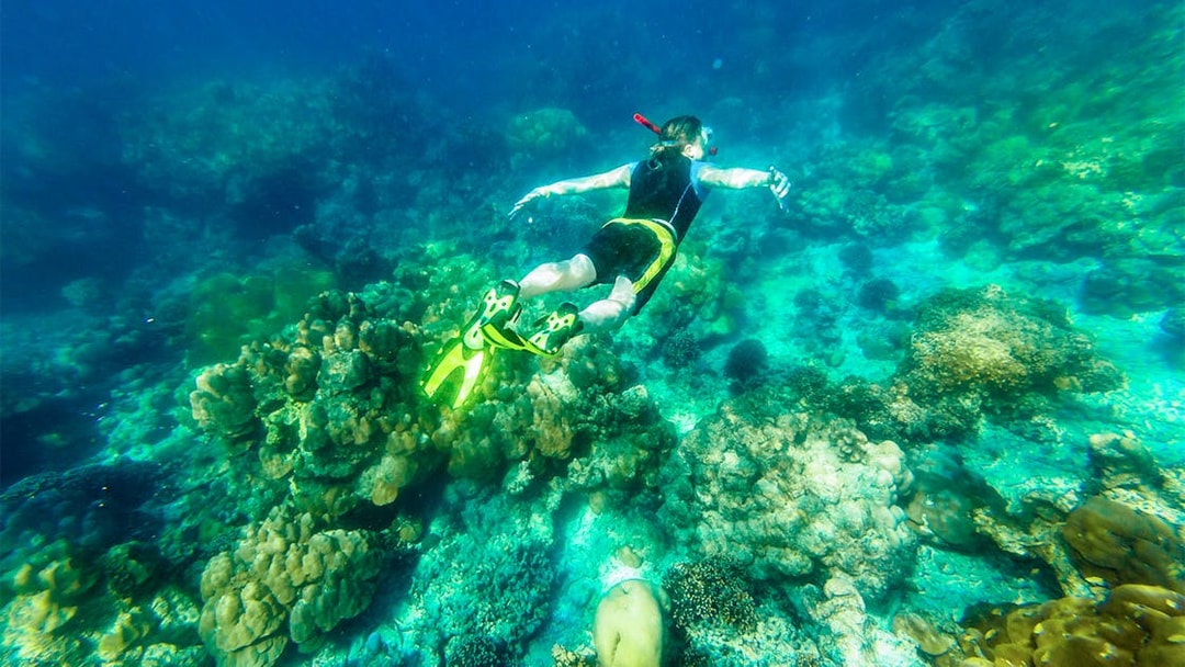 Snorkeler in diving suit exploring coral reef in Maya Bay, Thailand.