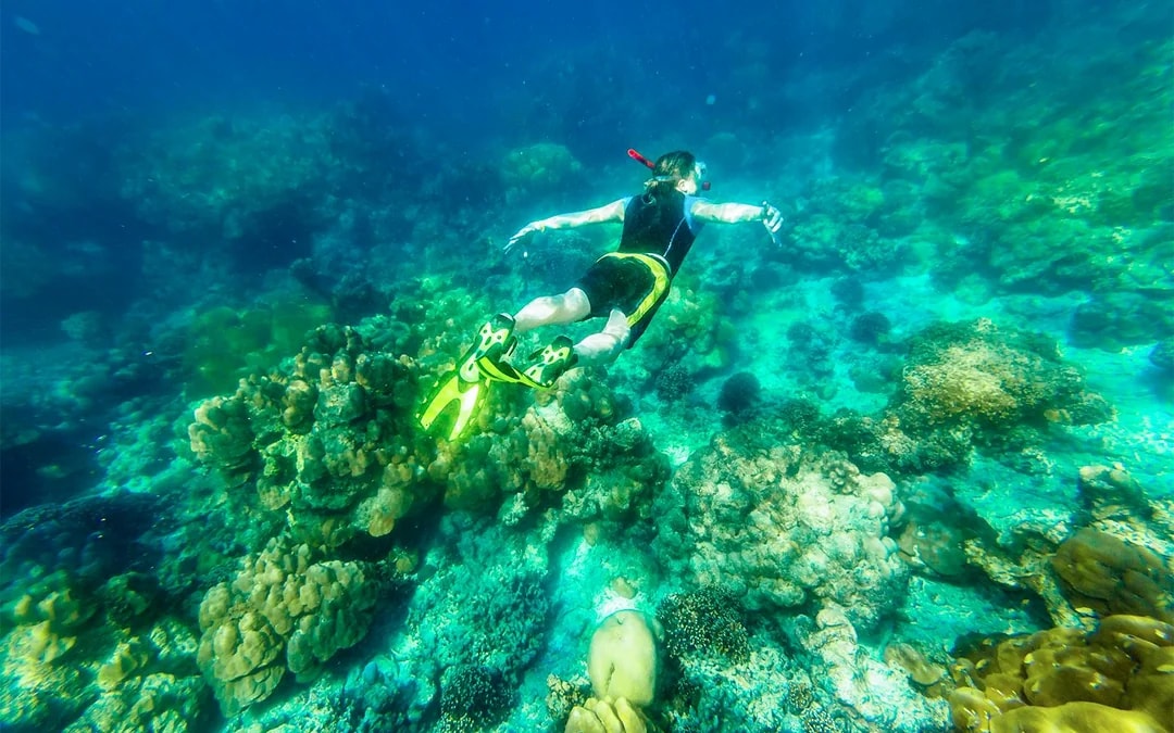 From Krabi: 4 Islands Day Tour Image 11