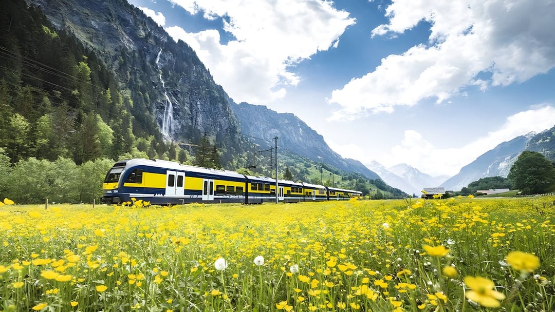 Train traveling through yellow flower fields towards Grindelwald First, Switzerland.