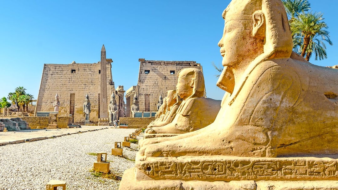 Row of sphinxes leading to the Temple of Luxor, Egypt.