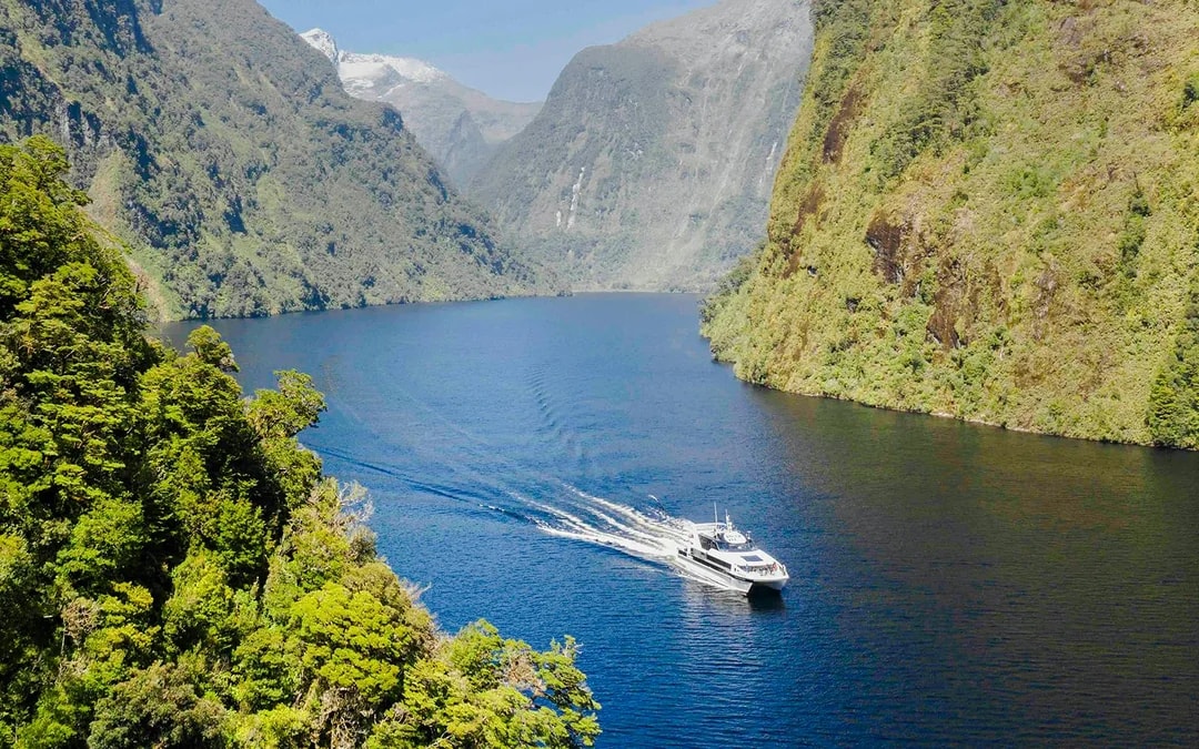 From Manapouri: Doubtful Sound Wilderness Cruise Image 2