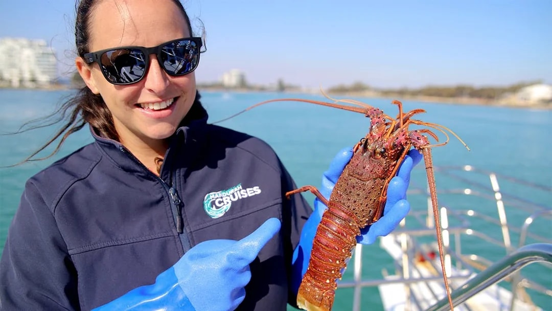 Woman on a boat holding a large lobster in gloved hands.