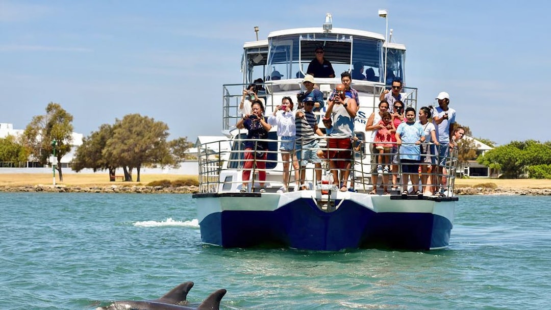 Tourists on a cruise watching dolphins in the water.