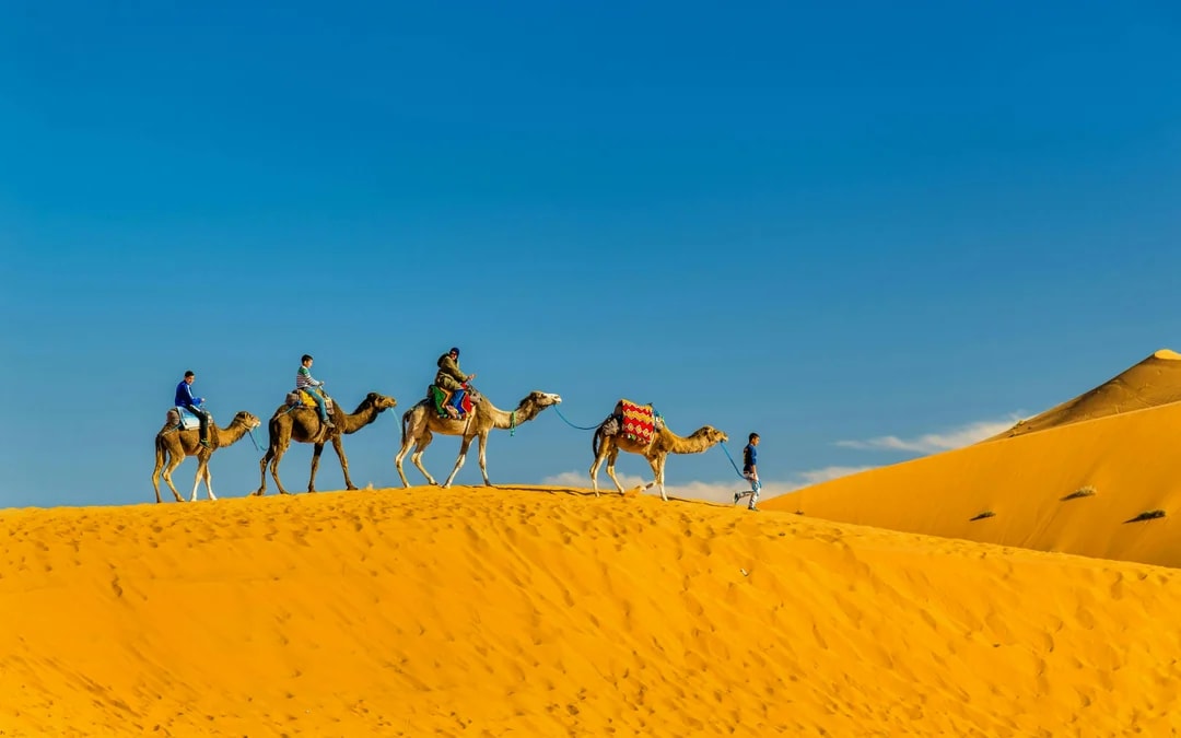 From Marrakesh: 3-Day Merzouga Desert Tour with Camel Rides & Sandboarding with Return Transfers to Marrakesh or Fes Image 6