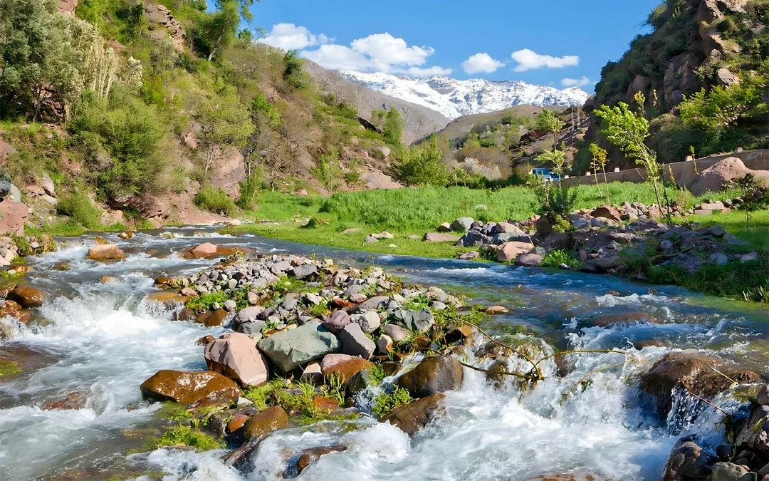 From Marrakesh: Full-Day Ourika Valley, Atlas Mountains and Waterfall Tour with Lunch Image 2