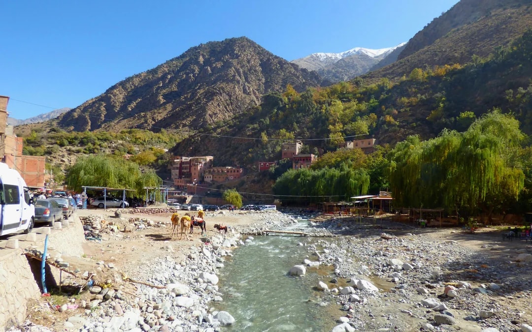 From Marrakesh: Full-Day Ourika Valley, Atlas Mountains and Waterfall Tour with Lunch Image 8