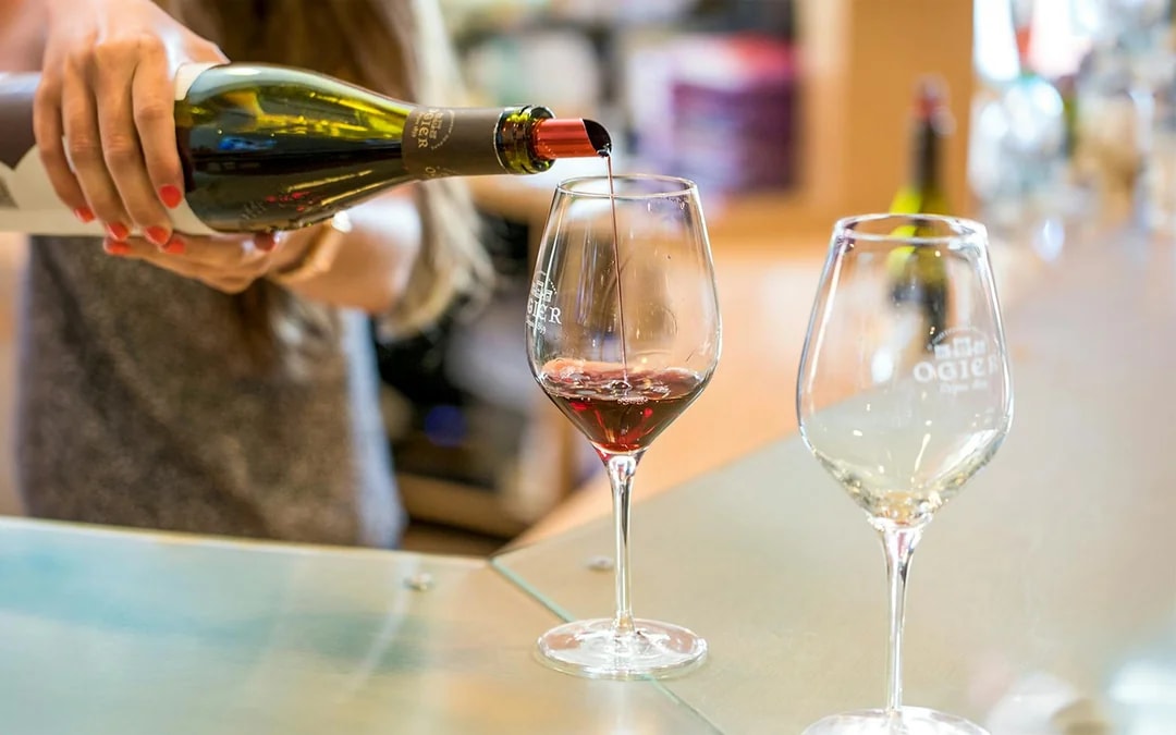 From Marseille: Pont du Gard, Avignon & Châteauneuf-du-Pape Day Trip with Wine Tasting Image 6
