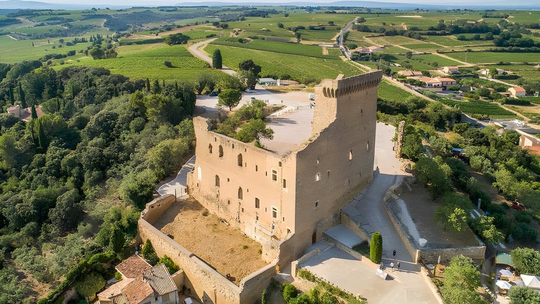 Aerial view of Châteauneuf-du-Pape castle ruins surrounded by vineyards in Avignon, France.