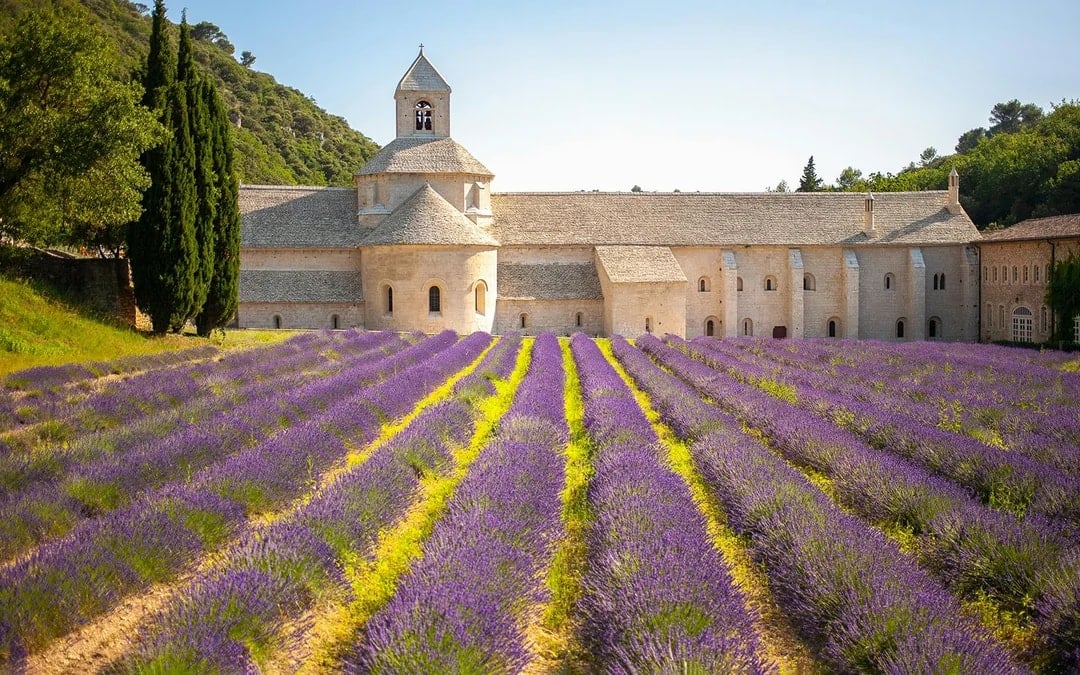 From Marseille: Lavender Fields Full-Day Tour Image 1