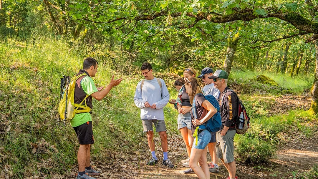 Guests listening to a guide during a hike in the forest on the Meteora Hiking Tour.