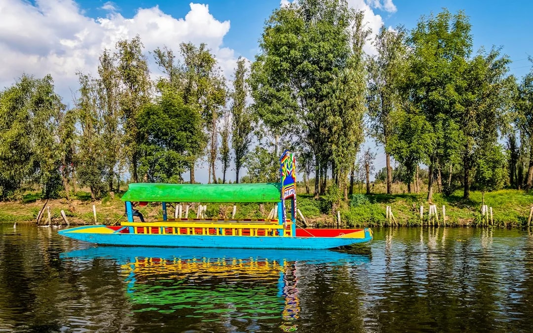 From Mexico City: Frida Kahlo Museum and Xochimilco Premium Tour Image 8