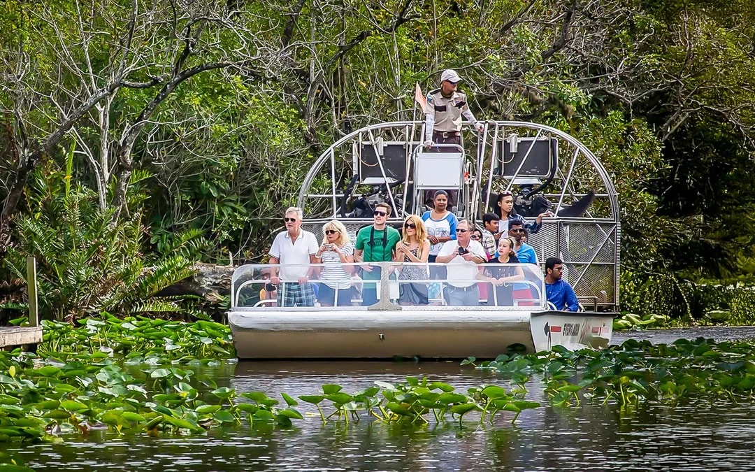 Everglades National Park: Safari Park Airboat Tour with Transportation from Miami Image 3