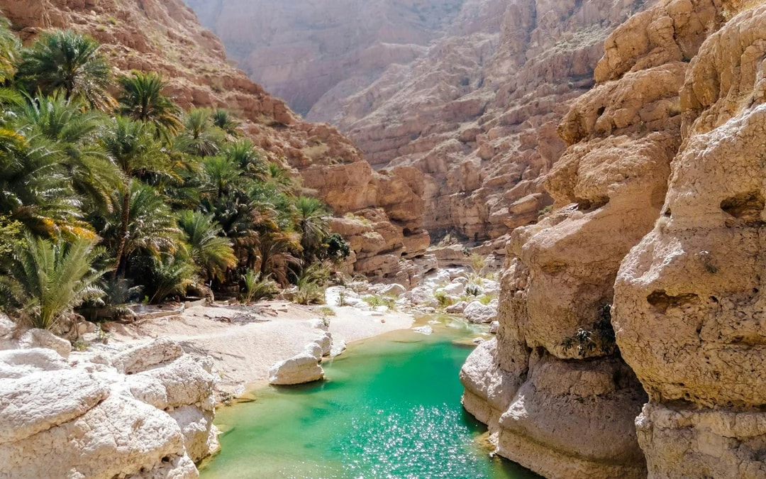 From Muscat: Full-Day Private Tour of Wadi Shab & Bimmah Sinkhole Image 9
