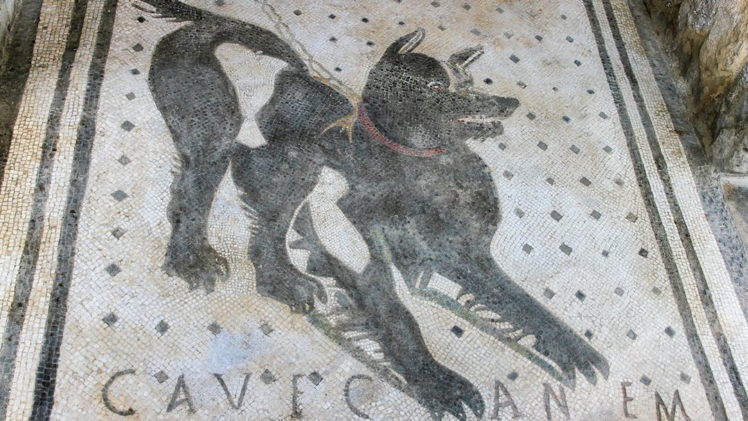 Mosaic of a dog with "Cave Canem" inscription in Pompeii.