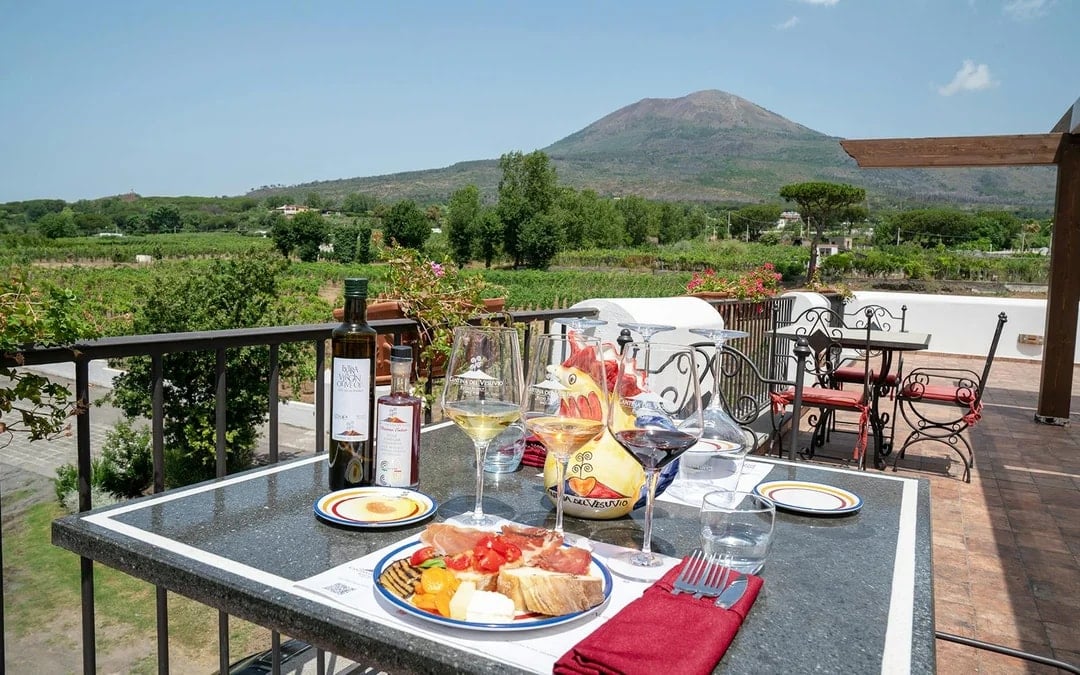 From Naples: Wine Tasting & Lunch on the Slopes of Vesuvius Image 1