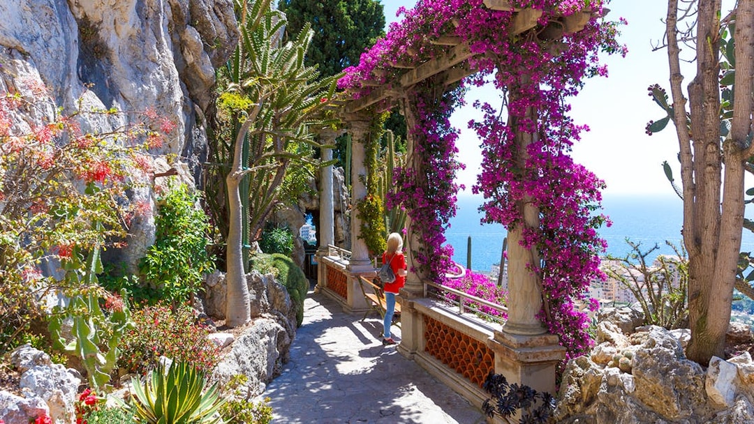 Pathway through Jardin Exotique in Eze with sea view and vibrant flowers.