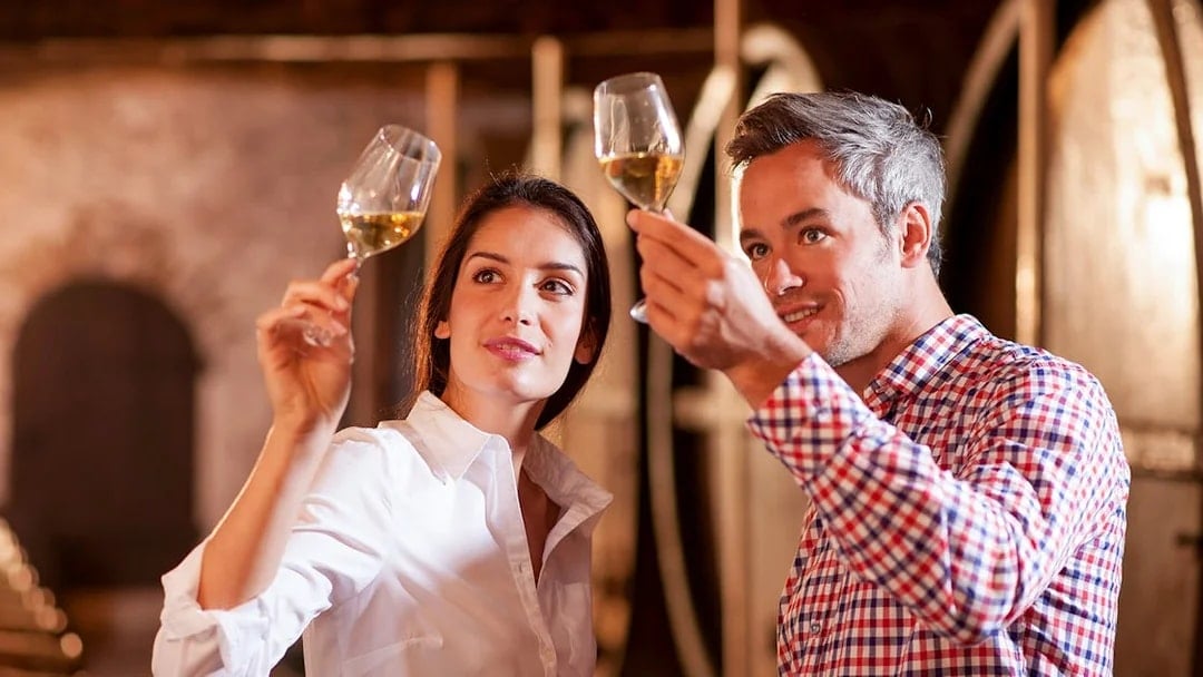 Tourists tasting wine at Château de Crémat cellar.
