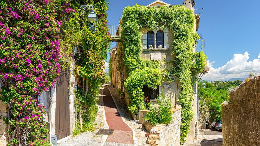Narrow cobblestone street in Provence with ivy-covered buildings and vibrant flowers.