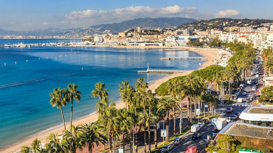 Cannes coastline with palm-lined promenade and beach, view from the half-day tour from Nice.