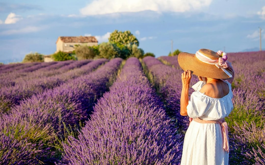 From Nice: Full-Day Provence and Lavender Tour Image 6
