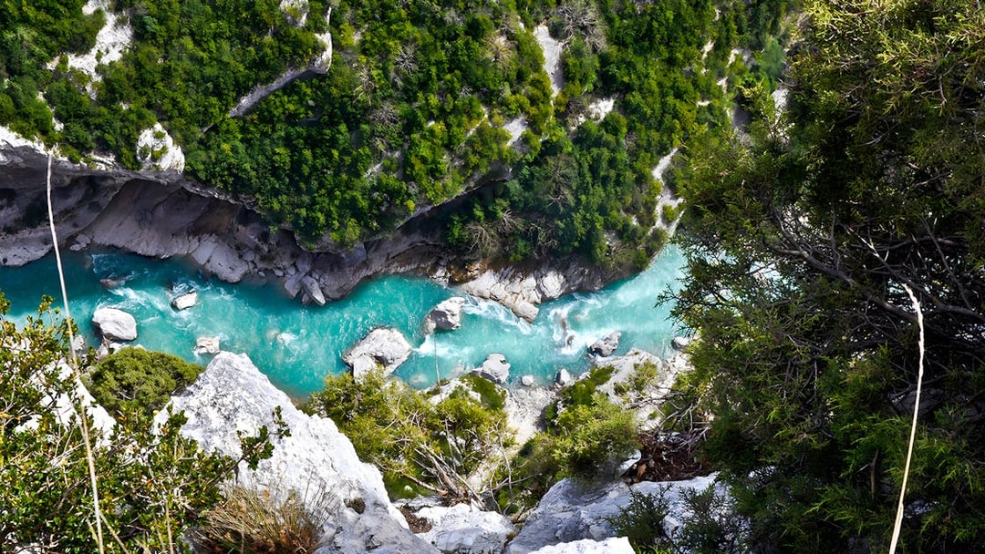 Verdon Gorges turquoise river view surrounded by lush greenery, France.