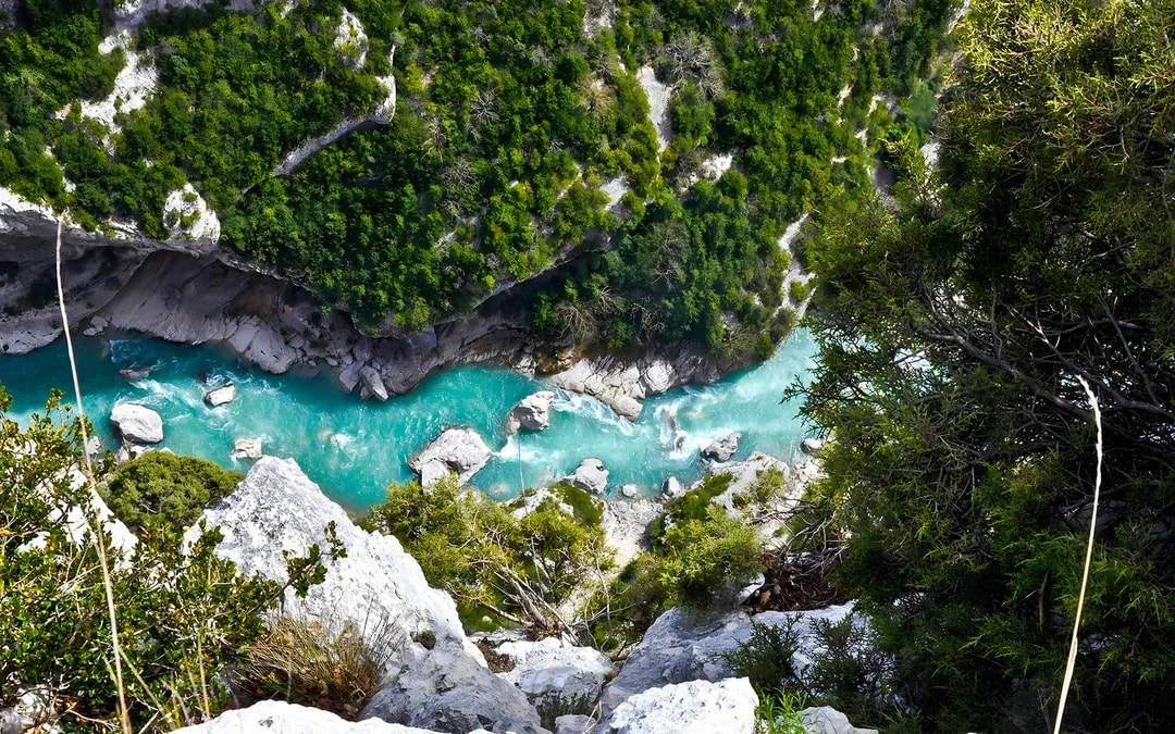 From Nice: Full-Day Provence and Lavender Tour Image 9