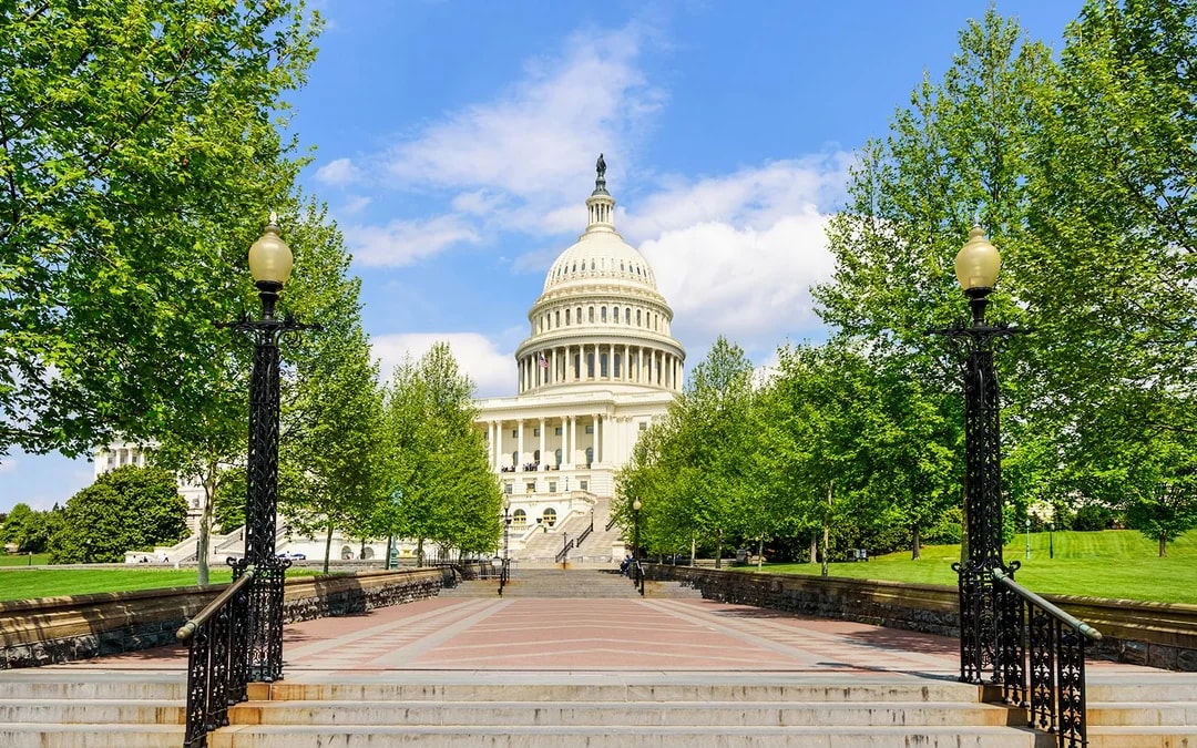 From NYC: Washington DC Day Tour Image 6