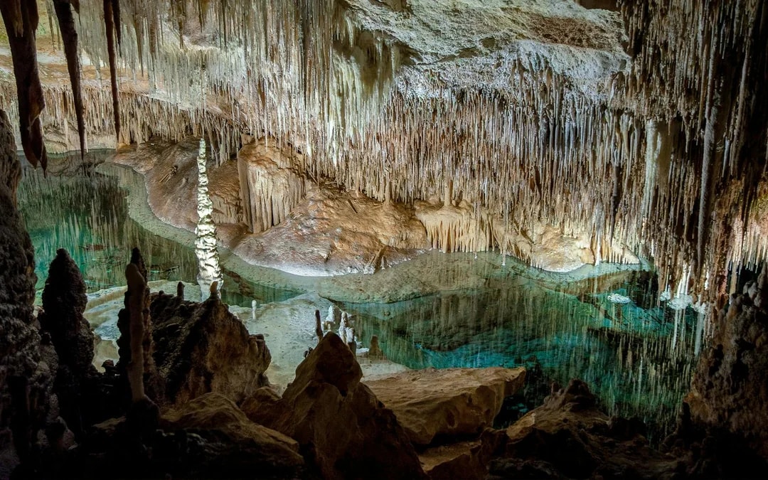 From Palma: Caves of Drach and Hams Entrance and Pearl Factory Visit
 Image 9