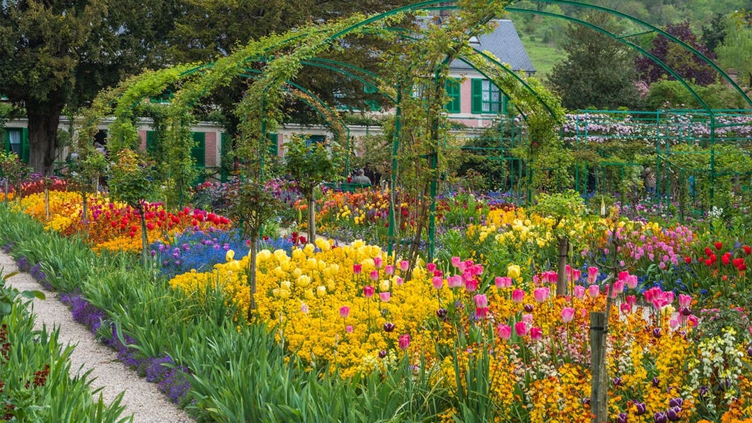 Giverny gardens with colorful flowers and Monet's house in the background, France.
