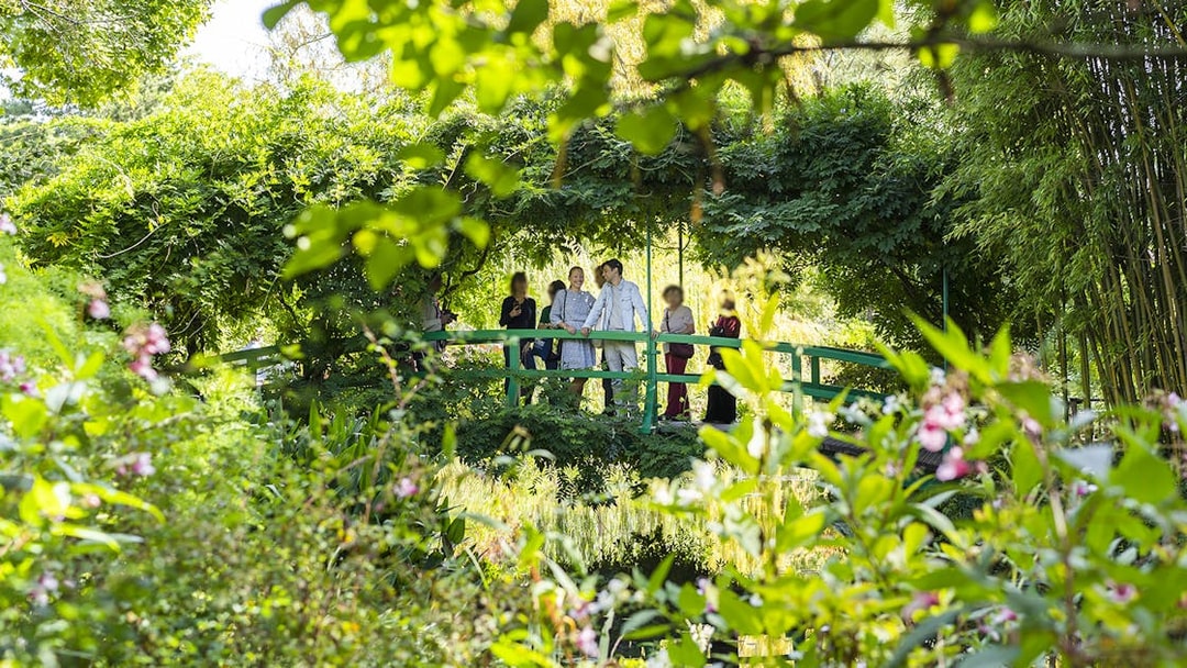 Visitors on Japanese bridge in Monet's Garden with guide.
