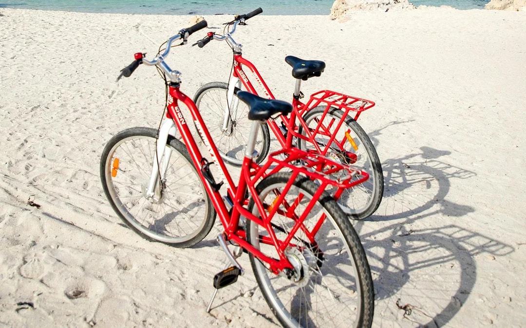 From Perth: Rottnest Island Bike & Guided Return Ferry Tour Image 9