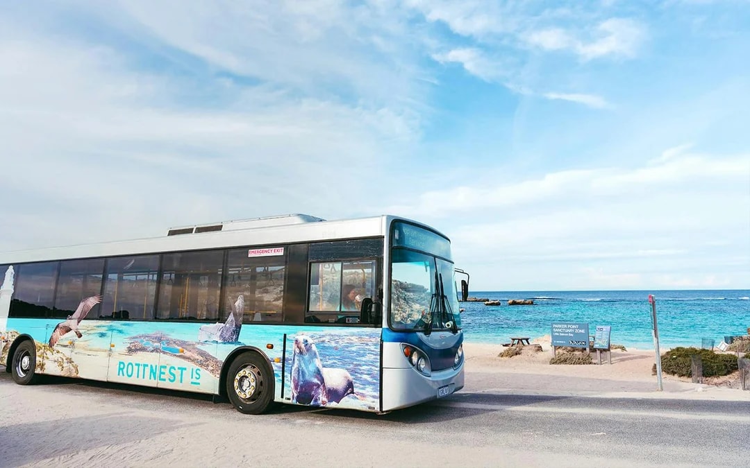 From Perth: Rottnest Island Guided Bus Tour with Return Ferry Image 8
