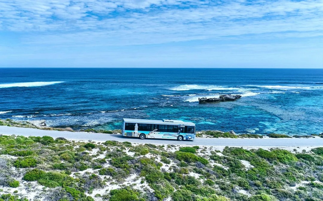 From Perth: Rottnest Island Guided Bus Tour with Return Ferry Image 9