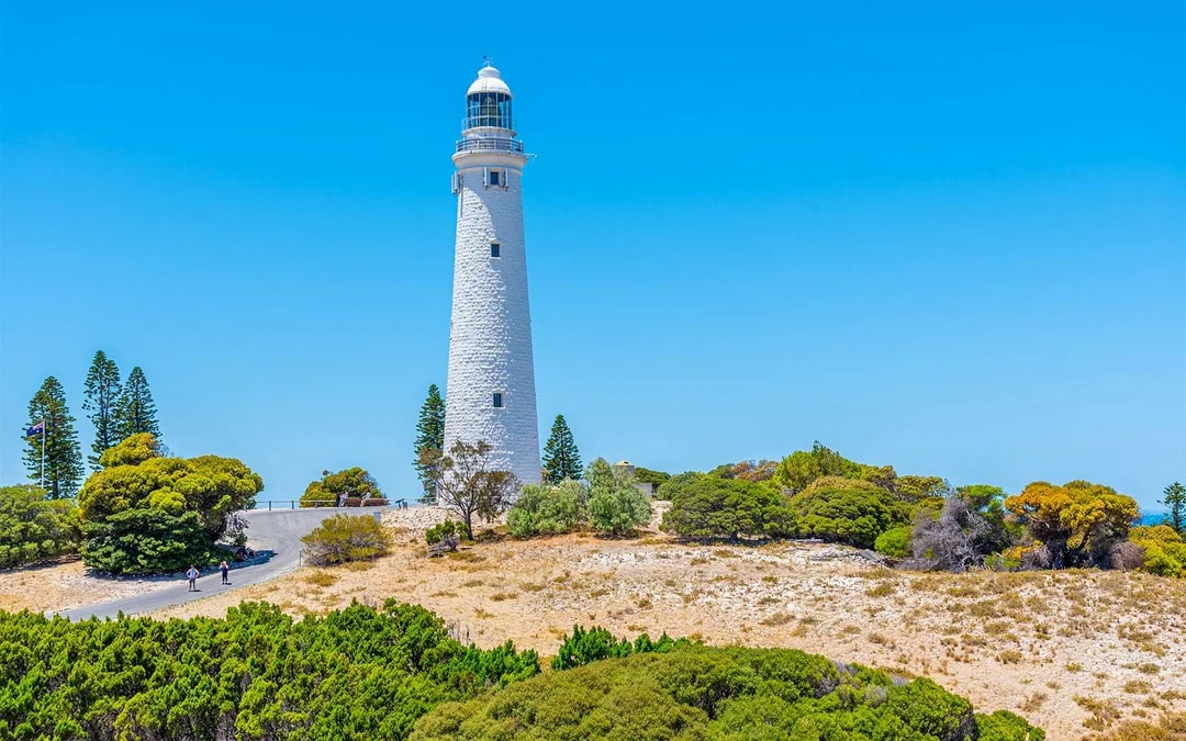 From Perth: Rottnest Island Return Ferry Image 6