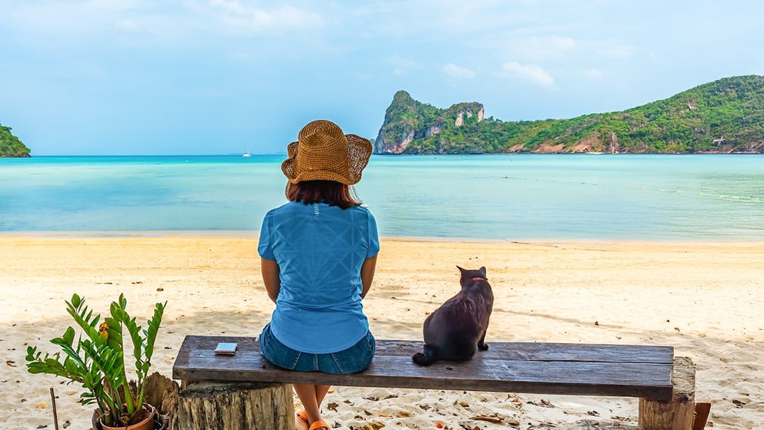 Woman and cat sitting on a bench overlooking the sea at Phi Phi Island, Krabi, Thailand.