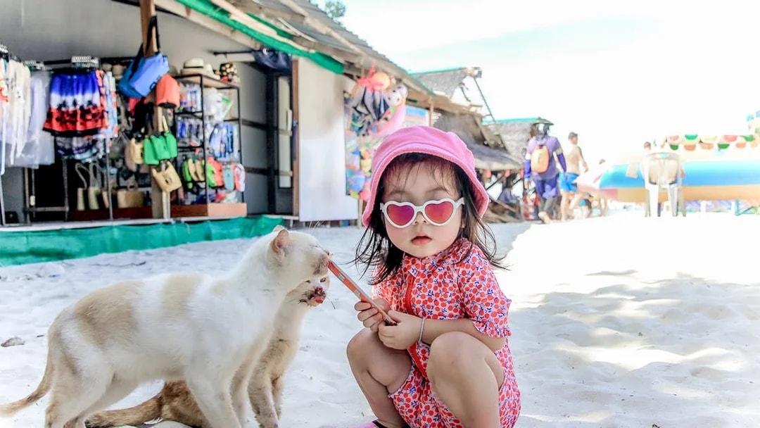 Child feeding cats on Khai Island beach, Thailand.
