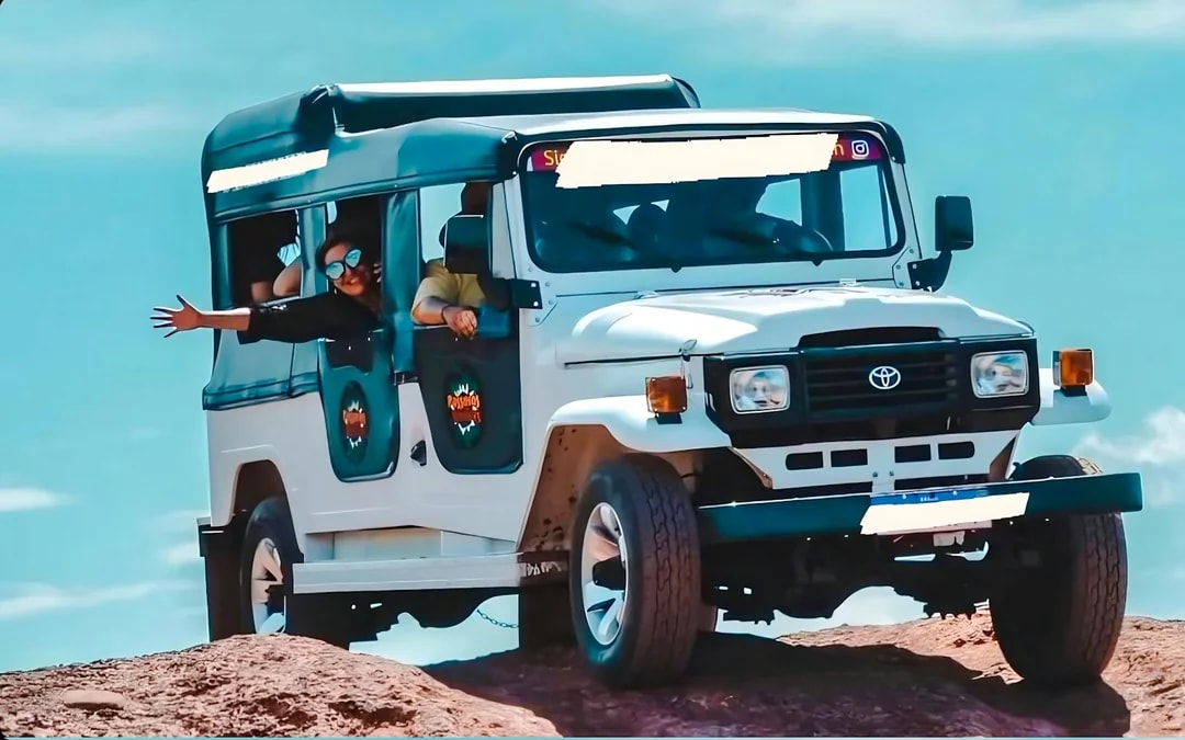 From Pipa: 4x4 Jeep Tour of Beaches, Cliffs and Dunes with Sandboarding Image 3