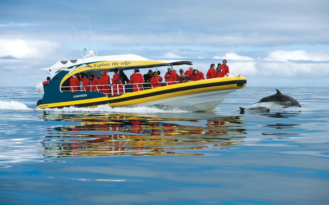 From Port Arthur: Tasman Island 3-Hour Wilderness Cruise

 Image 1