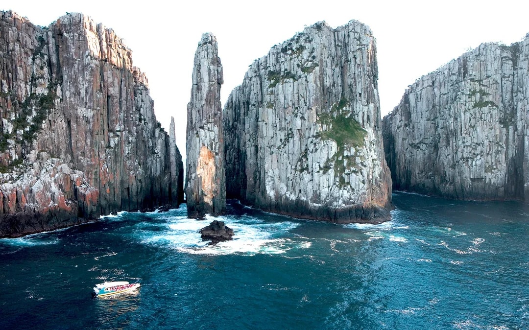 From Port Arthur: Tasman Island 3-Hour Wilderness Cruise

 Image 3